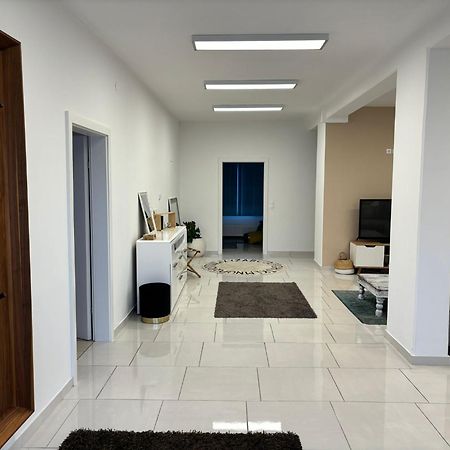 Stadtsuite Mit Sauna In Wiener Neustadt 135 M2 Dış mekan fotoğraf