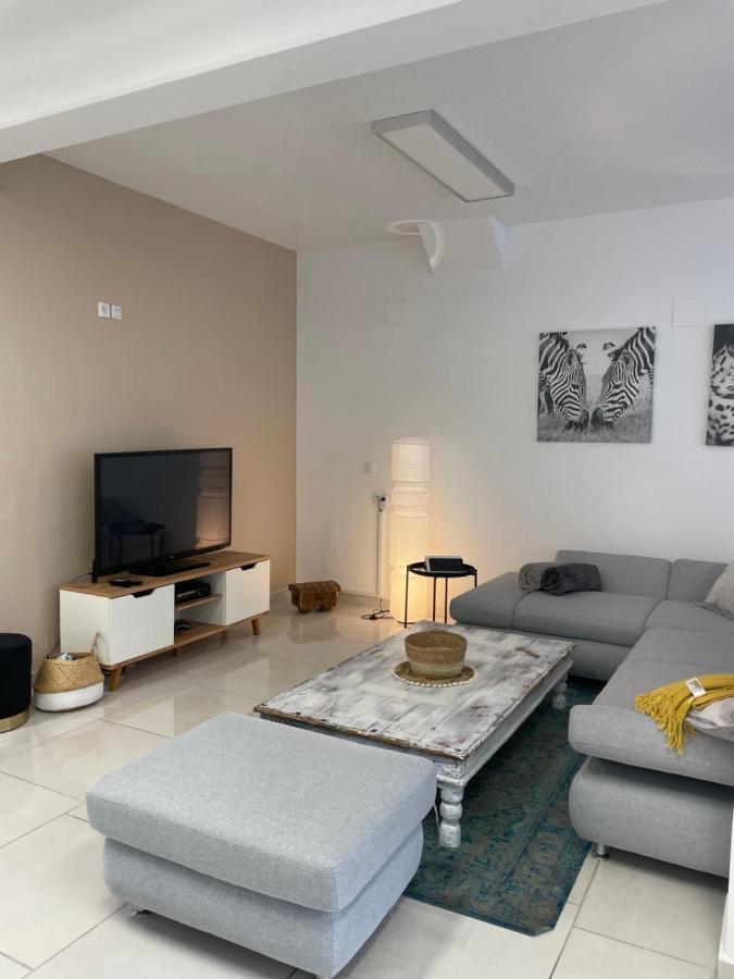 Stadtsuite Mit Sauna In Wiener Neustadt 135 M2 Dış mekan fotoğraf