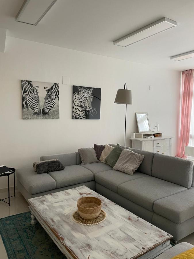 Stadtsuite Mit Sauna In Wiener Neustadt 135 M2 Dış mekan fotoğraf