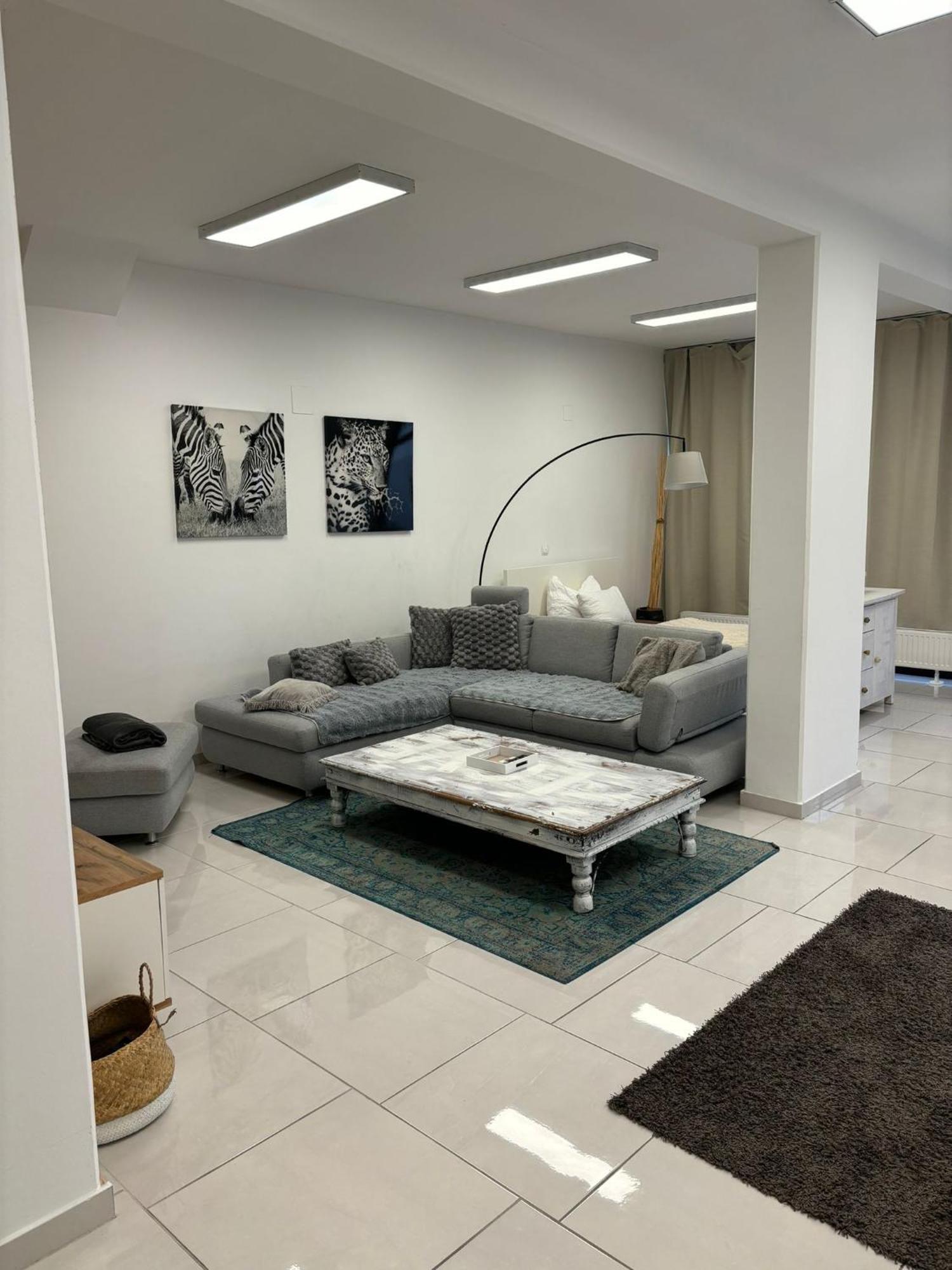 Stadtsuite Mit Sauna In Wiener Neustadt 135 M2 Dış mekan fotoğraf