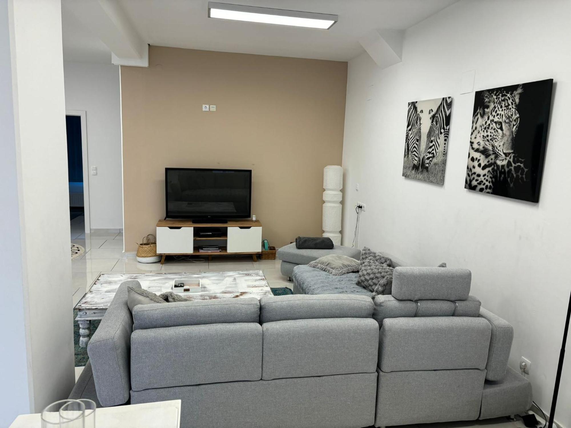 Stadtsuite Mit Sauna In Wiener Neustadt 135 M2 Dış mekan fotoğraf